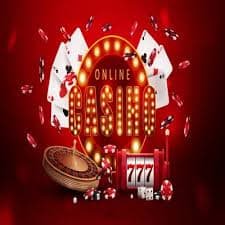 255 bet