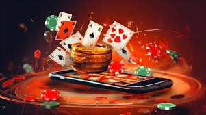 255 bet