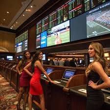 255 bet